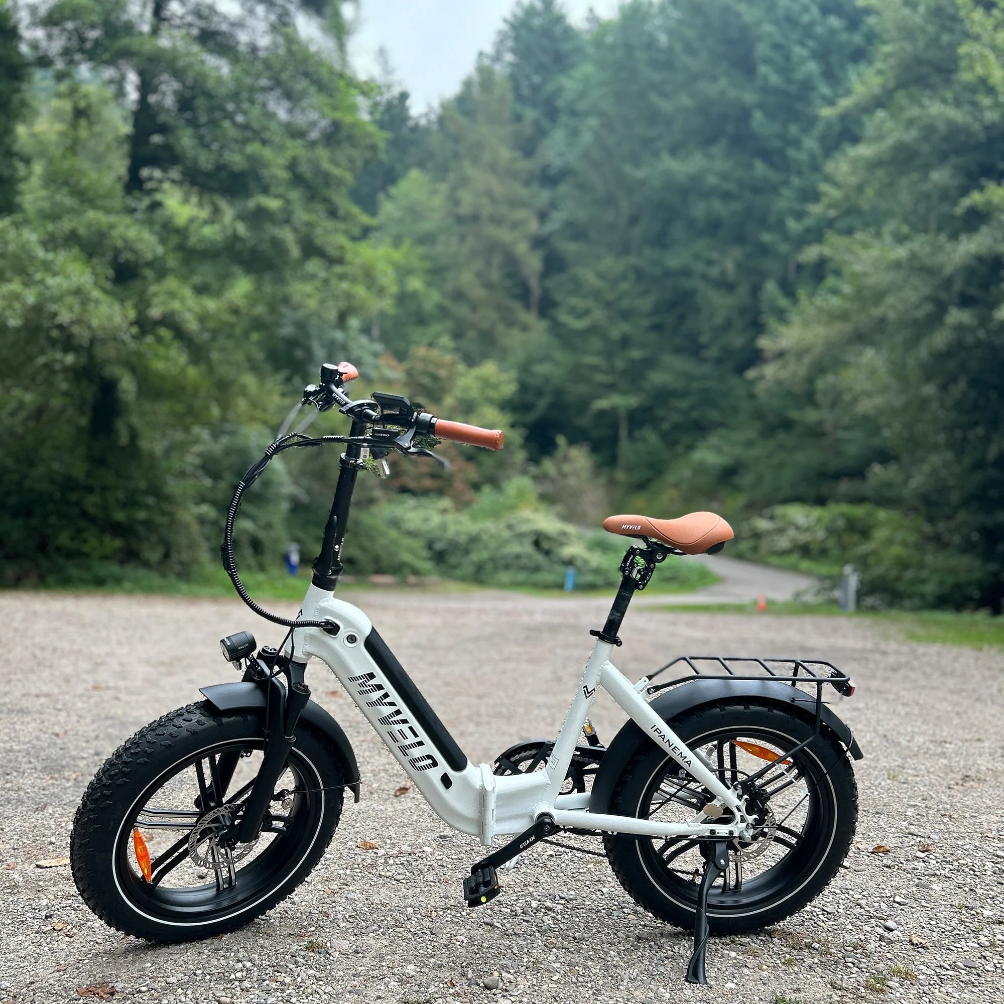 Ipanema Elektro-Klapprad + Tragetasche - Image 4